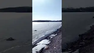 людиухлюди маестро гнидыч