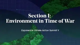 Nature in The Race to Zero, Part 1: Environment in Time of War 