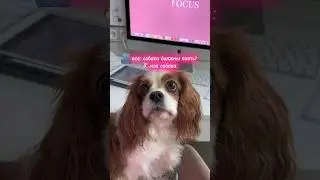 никому. ничего. не должна. хаха🙈💕 