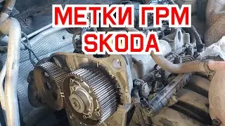 метки ГРМ Skoda Rapid