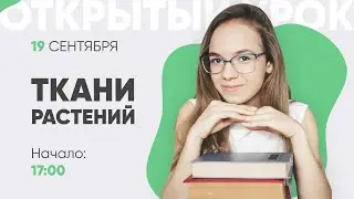 Ткани растений