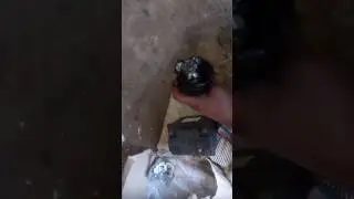 Трипоид от Форда на мазду
