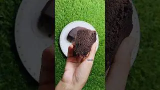 Hide & Seek Choco Chips Cake #shorts #youtubeshorts #viral #youtubeshorts