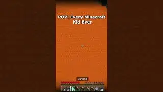 I swear EVERY MINECRAFT kid done this