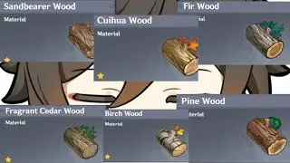All Location Pine Wood,Birch Wood,Fir Wood Fragrent Wood,Sendbearer Wood,Cuihua Wood Genshin impact