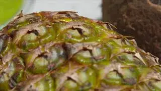 Growing Tropical Fruits