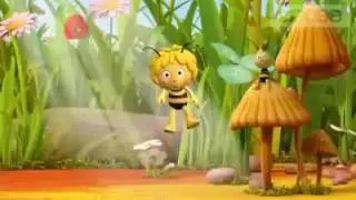 L'ape maia