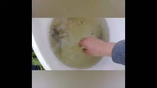 Рыбалка на пруду. Великолепные  поклевки карася!