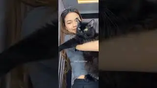 RARA DAN KUCING GEMOY NYA GUYS