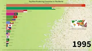 Top Rice Producing Countries In The World