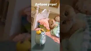 Доброе утро