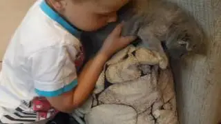 Ксюша с котятами муручка и глеб кошка кошка и котята