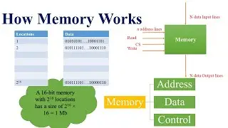 Basics of Memory