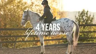 Lifetime horse♡ [4 years with Spot]