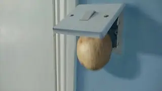 Potato House