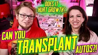 Transplanting Autos. Does It Hurt Growth?