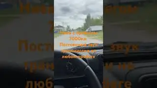 новая нива