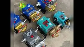 Hẹn Quý Bà Con 7 Giờ Sáng Ngày 5/11/2024