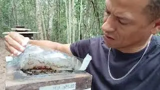 Tests number 3 and 4 were surprising in terms of honey production.