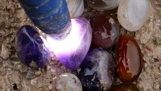 There are many treasures in the forest, I found crystal gems to take home