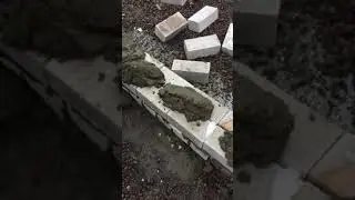 18 ноября 2017 г.