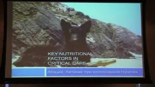 3 часть, Питание здоровых собак и котов, диетология, Лектор Галена Квист, Бельгия