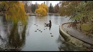 Прогулка по осеннему дождливому Городскому парку