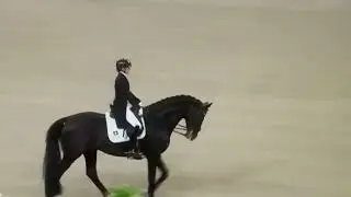 Charlotte Fry and Everdale World Cup Qualifier Jumping Amsterdam