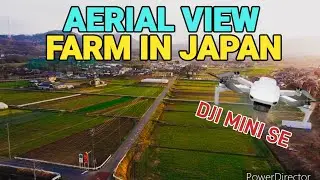 AERIAL VIEW - FARM IN JAPAN  | DJI MINI SE #dji  #djiminise #japan  #drone #budget2024 #spring2024