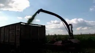 Комбайн Гомсельмаш Полесье КДП 3000 и МТЗ  | Заготівля кормів. Заготівля силосу. Заготівля сінажа
