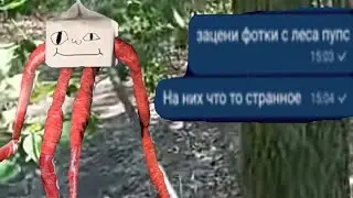 Ритуал с ходяшим молоком чат переписка