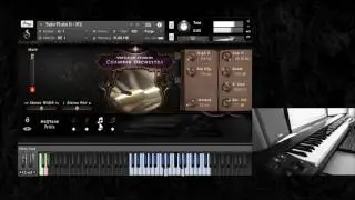 Versilian Studios Chamber Orchestra - Woodwinds: Flutes