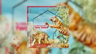 SUBB, NuKey - Two Timer