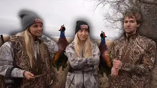 Pheasant Hunting