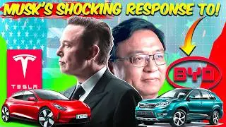Tesla CEO Elon Musk’s response to Chinese EV Giant BYD | New Cheaper Tesla EVs coming out in 2025