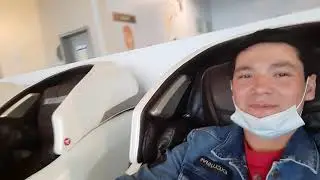 полностью обзор