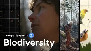 Using AI to study biodiversity