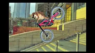 Doggo - Impossible Stunt Challenge