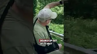 Buckeye Bigfoot is here.