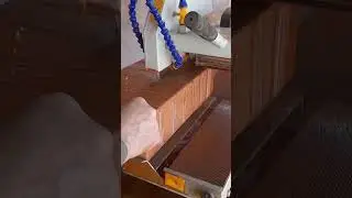 12 ноября 2023 г.
