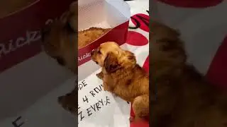 Кто это был?