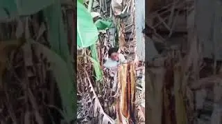 yang lagi viral salam dari Binjai #shorts