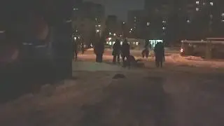 Новогодняя драка 2019.Самая свежая пьяная драка 2019.СПБ