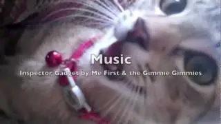 kitty vitty