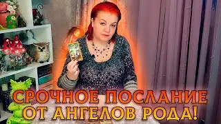 ВАМ СРОЧНОЕ ПОСЛАНИЕ ОТ АНГЕЛОВ РОДА!