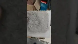 10 июня 2023 г.