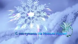 "Предновогодние тигрисы"))