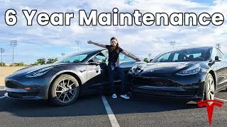 6-Year Tesla Model 3 Ownership Update: Costs and Maintenance