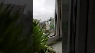 Кормушка для синиц