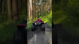 Туры по Алтаю #алтай